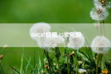 600262股票,15.07元股