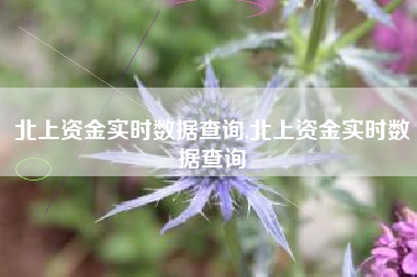 北上资金实时数据查询,北上资金实时数据查询