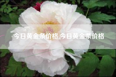 今日黄金条价格,今日黄金条价格