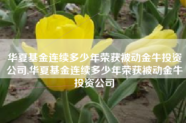 华夏基金连续多少年荣获被动金牛投资公司,华夏基金连续多少年荣获被动金牛投资公司