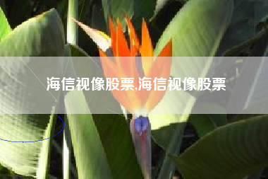 海信视像股票,海信视像股票