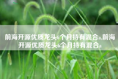 前海开源优质龙头6个月持有混合a,前海开源优质龙头6个月持有混合a