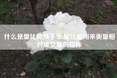 什么是量比和换手率,量比是用来衡量相对成交量的指标