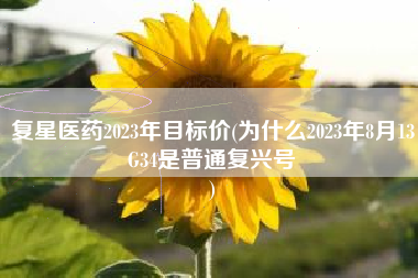 复星医药2023年目标价(为什么2023年8月13G34是普通复兴号
) 复星医药2023年目标价(为什么2023年8月13G34是普通复兴号
)