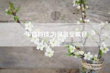 华自科技,为何备受瞩目