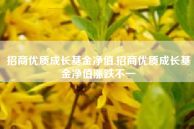招商优质成长基金净值,招商优质成长基金净值涨跌不一