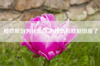 和胜股份为什么涨,为什么和胜股份涨了