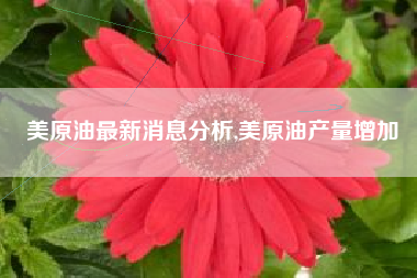 美原油最新消息分析,美原油产量增加