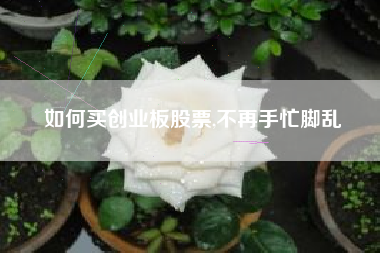 如何买创业板股票,不再手忙脚乱