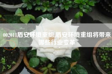 002011盾安环境重组,盾安环境重组将带来哪些行业变革