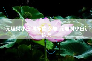 0元理财小白训练营,参加0元理财小白训练营