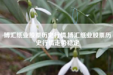 博汇纸业股票历史行情,博汇纸业股票历史行情走势稳定
