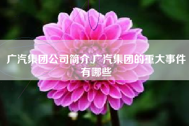 广汽集团公司简介,广汽集团的重大事件有哪些