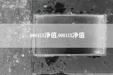 000418净值,000418净值