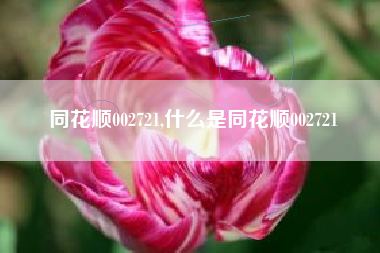 同花顺002721,什么是同花顺002721