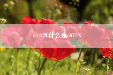 601279,什么是601279