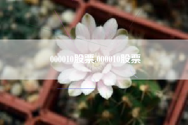 000010股票,000010股票