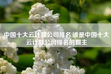 中国十大云计算公司排名,谁是中国十大云计算公司排名的霸主