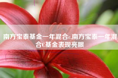 南方宝泰基金一年混合c,南方宝泰一年混合C基金表现亮眼