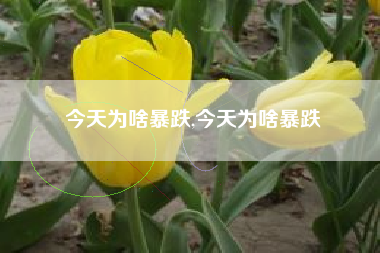 今天为啥暴跌,今天为啥暴跌