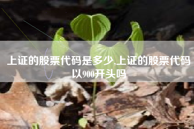 上证的股票代码是多少,上证的股票代码以900开头吗
