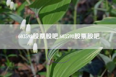 603598股票股吧,603598股票股吧