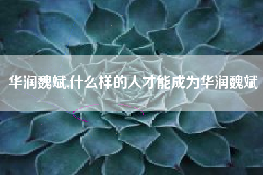 华润魏斌,什么样的人才能成为华润魏斌