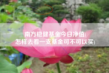南方稳健基金今日净值(
怎样去看一支基金可不可以买)