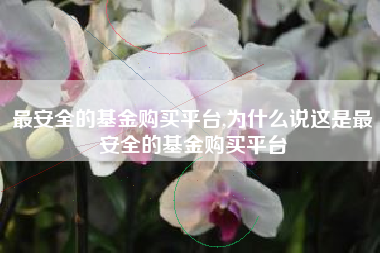 最安全的基金购买平台,为什么说这是最安全的基金购买平台