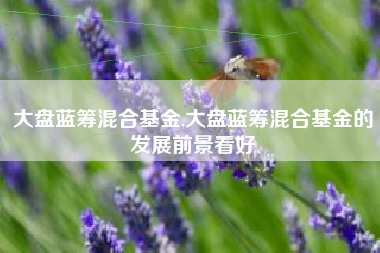 大盘蓝筹混合基金,大盘蓝筹混合基金的发展前景看好