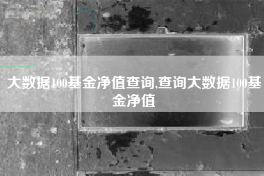 大数据100基金净值查询,查询大数据100基金净值