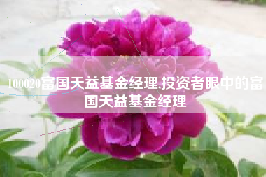 100020富国天益基金经理,投资者眼中的富国天益基金经理