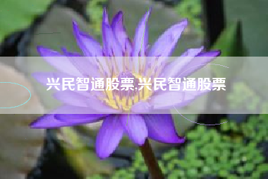 兴民智通股票,兴民智通股票