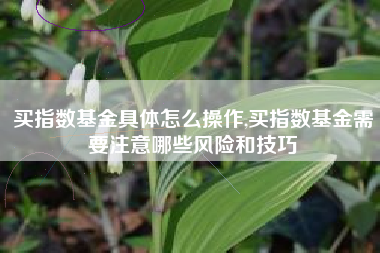 买指数基金具体怎么操作,买指数基金需要注意哪些风险和技巧