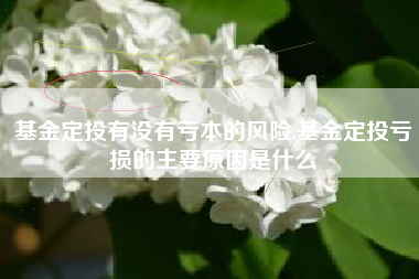 基金定投有没有亏本的风险,基金定投亏损的主要原因是什么
