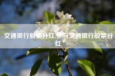 交通银行股票分红,参与交通银行股票分红