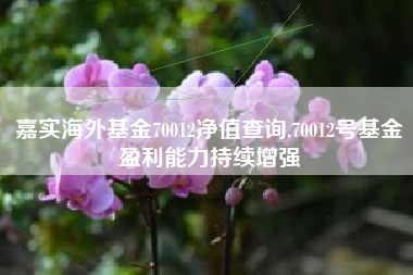 嘉实海外基金70012净值查询,70012号基金盈利能力持续增强