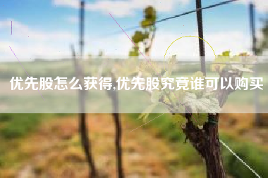 优先股怎么获得,优先股究竟谁可以购买