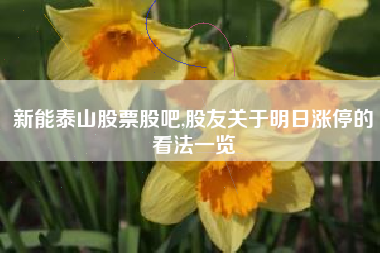 新能泰山股票股吧,股友关于明日涨停的看法一览