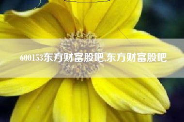600153东方财富股吧,东方财富股吧
