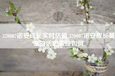 320007诺安成长实时估值,320007诺安成长基金的历史表现如何