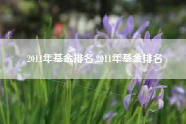 2011年基金排名,2011年基金排名