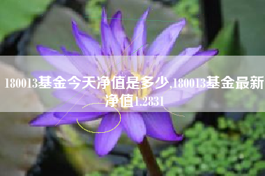 180013基金今天净值是多少,180013基金最新净值1.2831