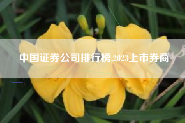 中国证券公司排行榜,2023上市券商