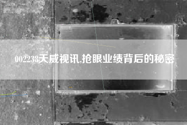 002238天威视讯,抢眼业绩背后的秘密