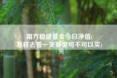南方稳健基金今日净值(
怎样去看一支基金可不可以买)