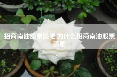 招商南油股票股吧,为什么招商南油股票股吧