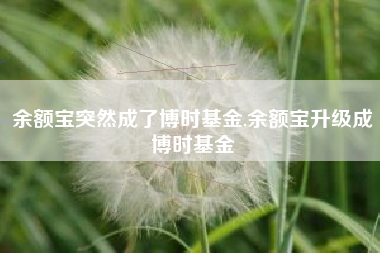 余额宝突然成了博时基金,余额宝升级成博时基金