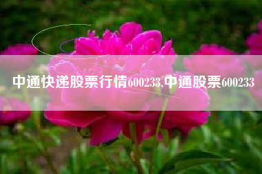 中通快递股票行情600233,中通股票600233