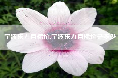 宁波东力目标价,宁波东力目标价是多少